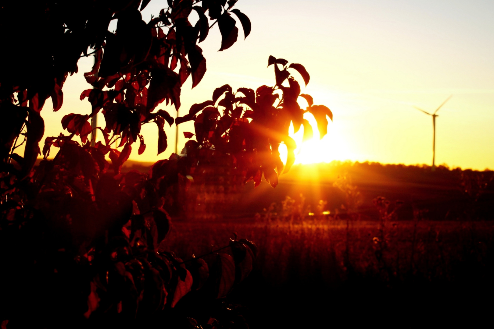 Goldener Herbst 