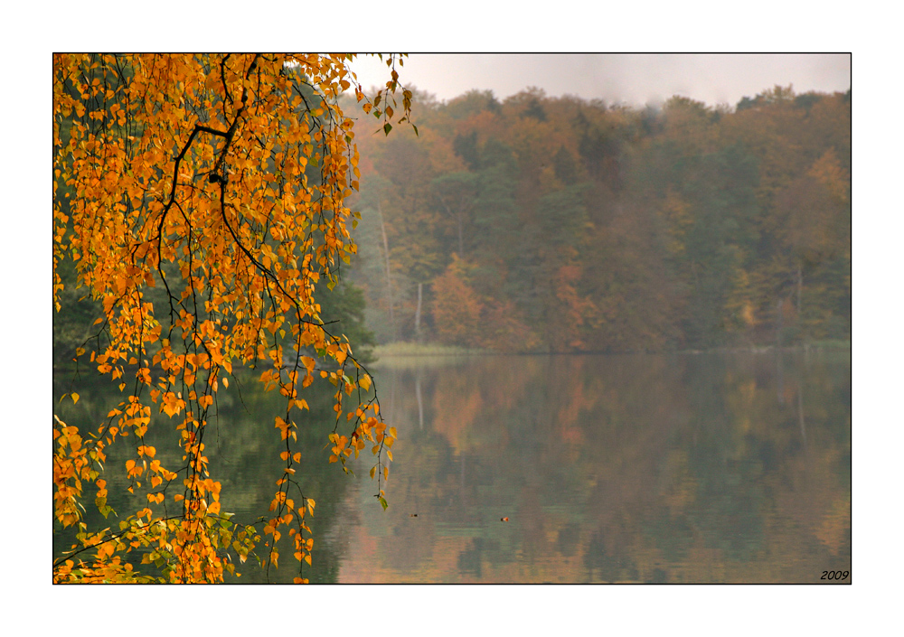 goldener Herbst