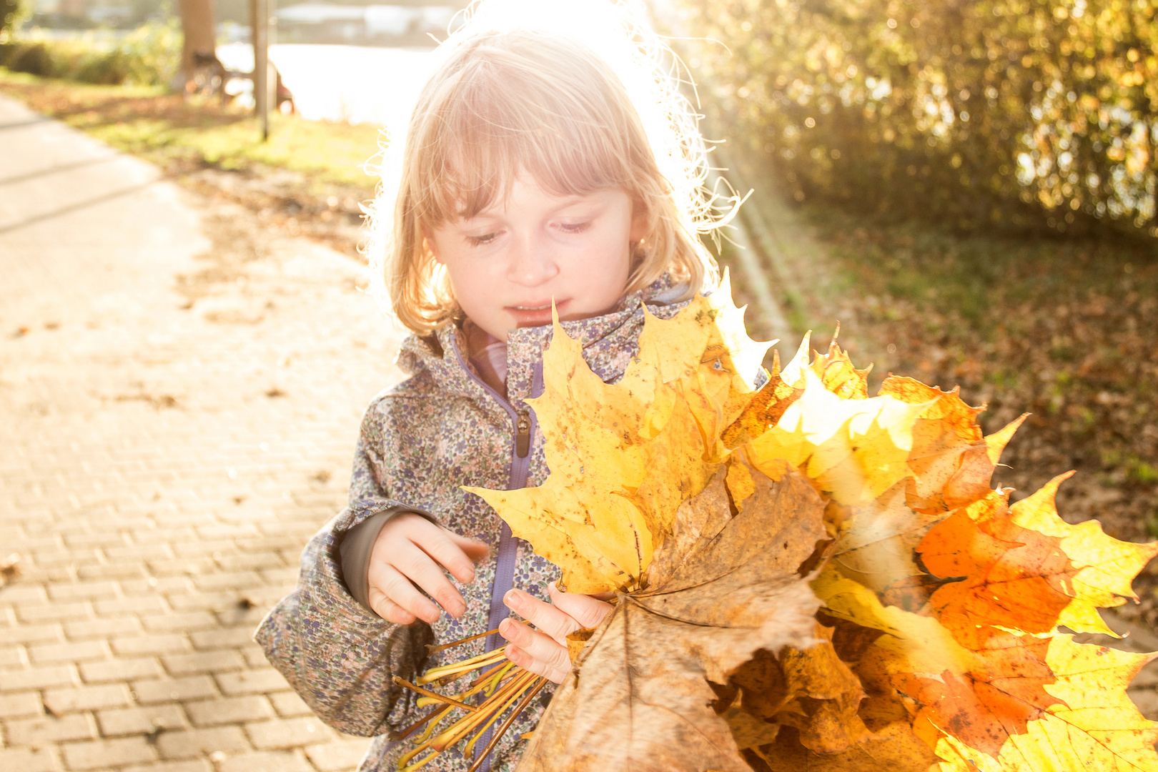 goldener Herbst