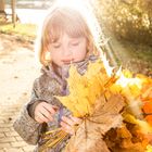 goldener Herbst