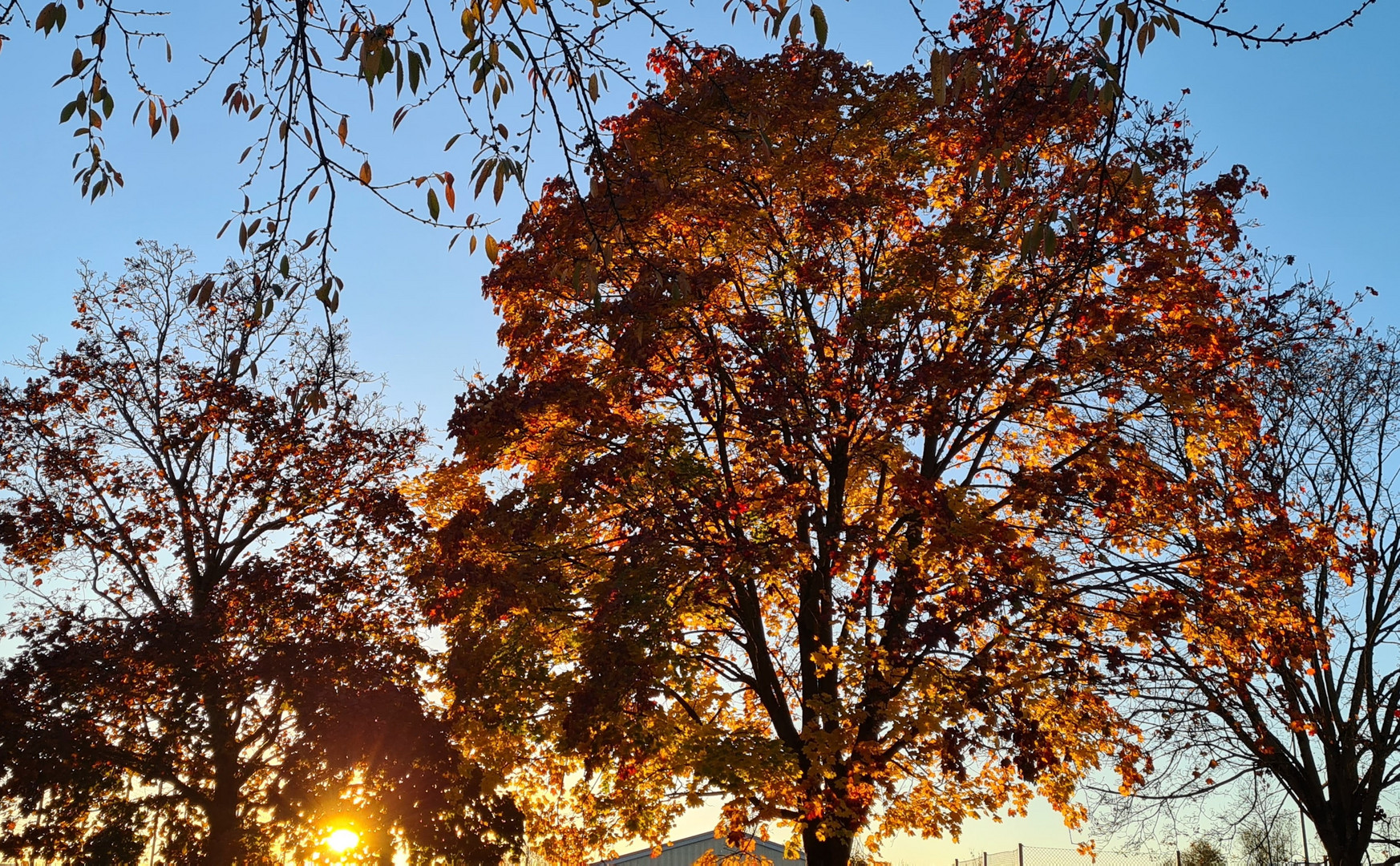 Goldener Herbst