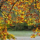 Goldener Herbst