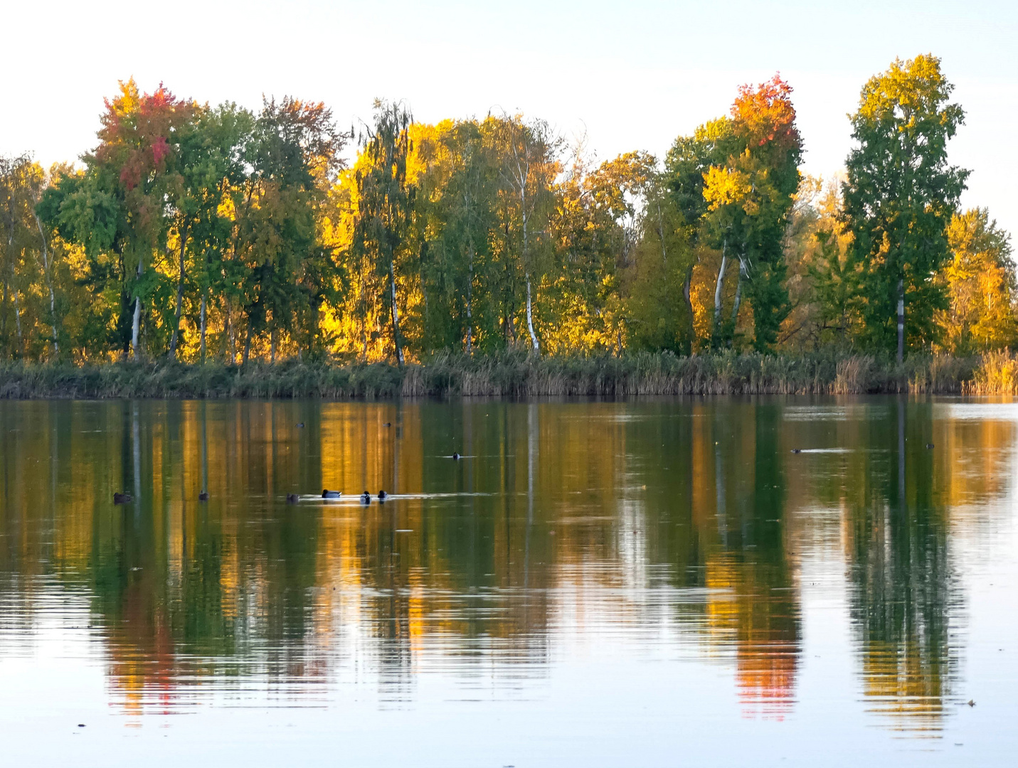 Goldener Herbst