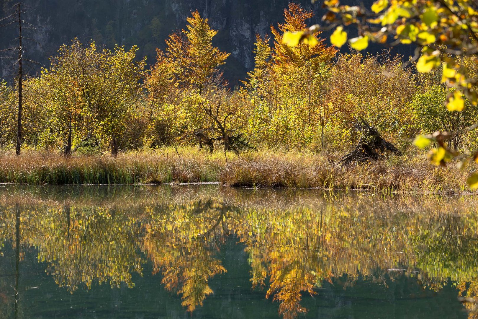 goldener Herbst