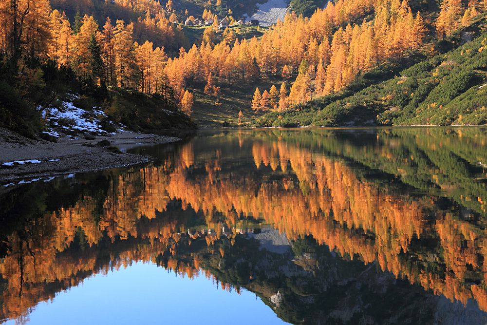 Goldener Herbst