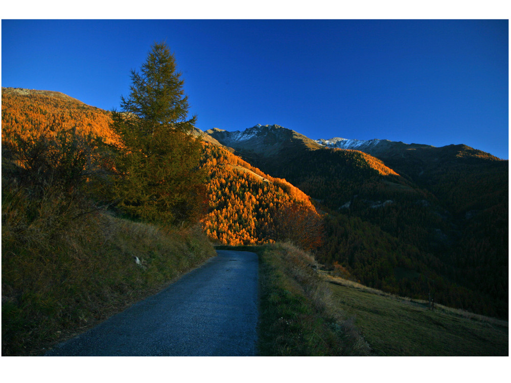 goldener Herbst