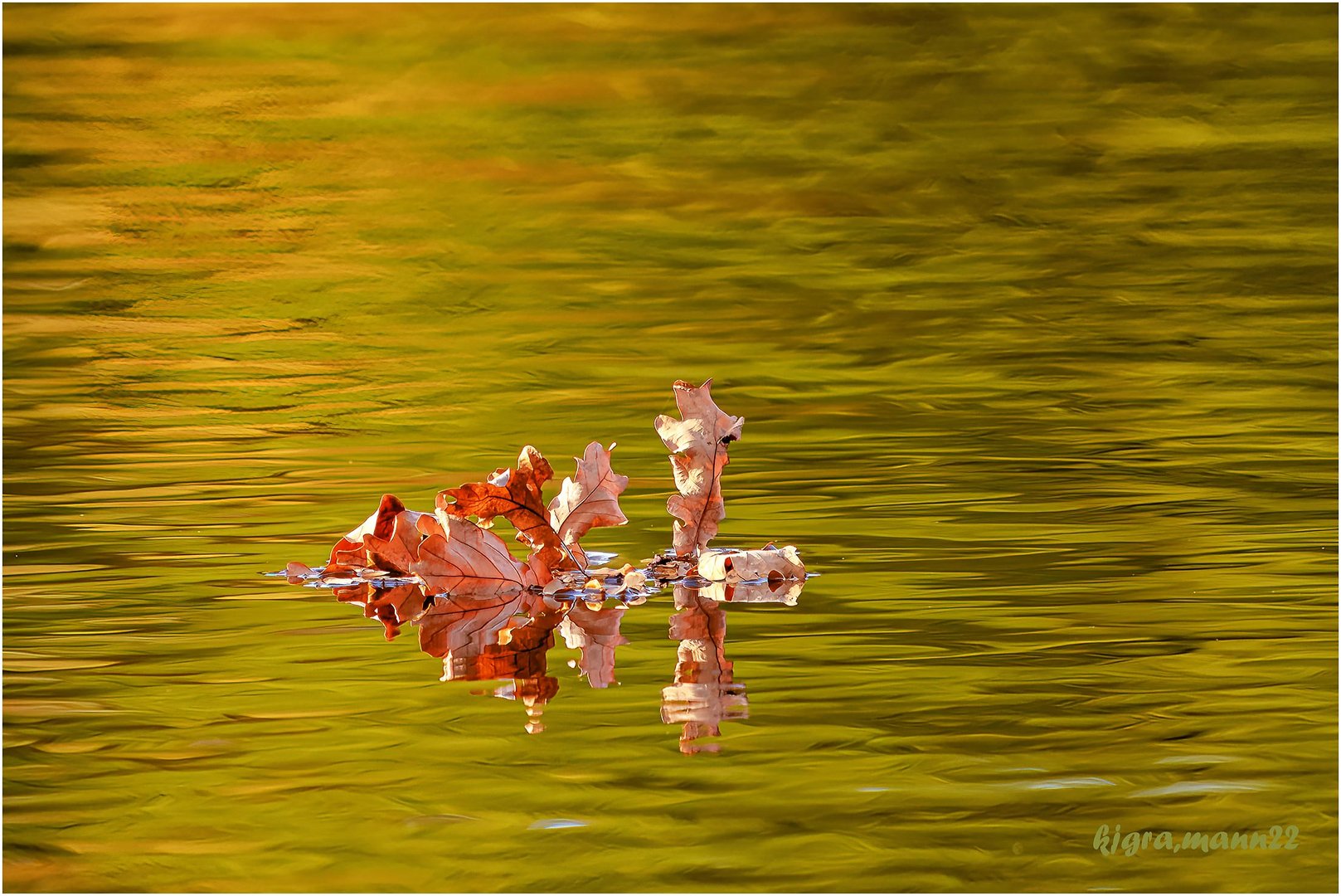 goldener herbst....