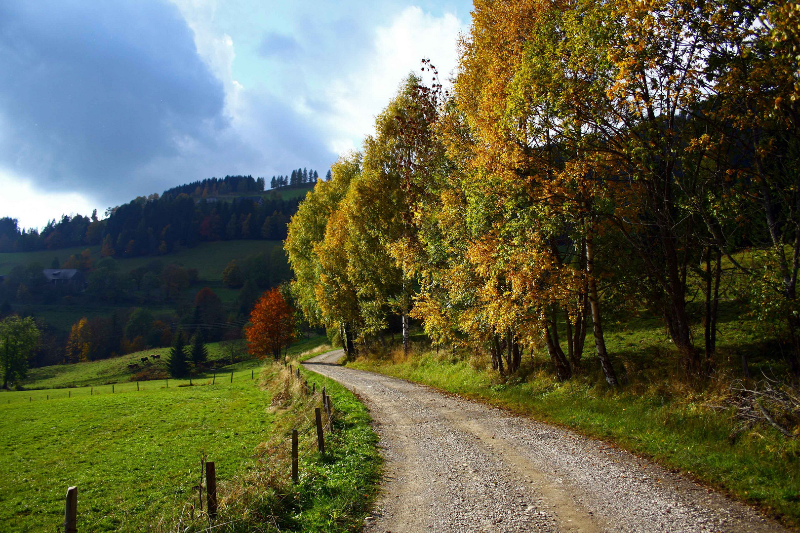 Goldener Herbst