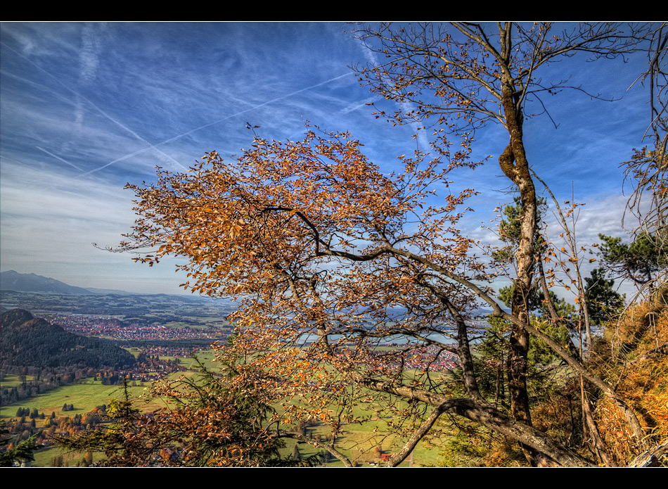 Goldener Herbst