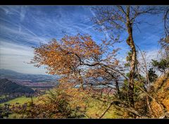 Goldener Herbst