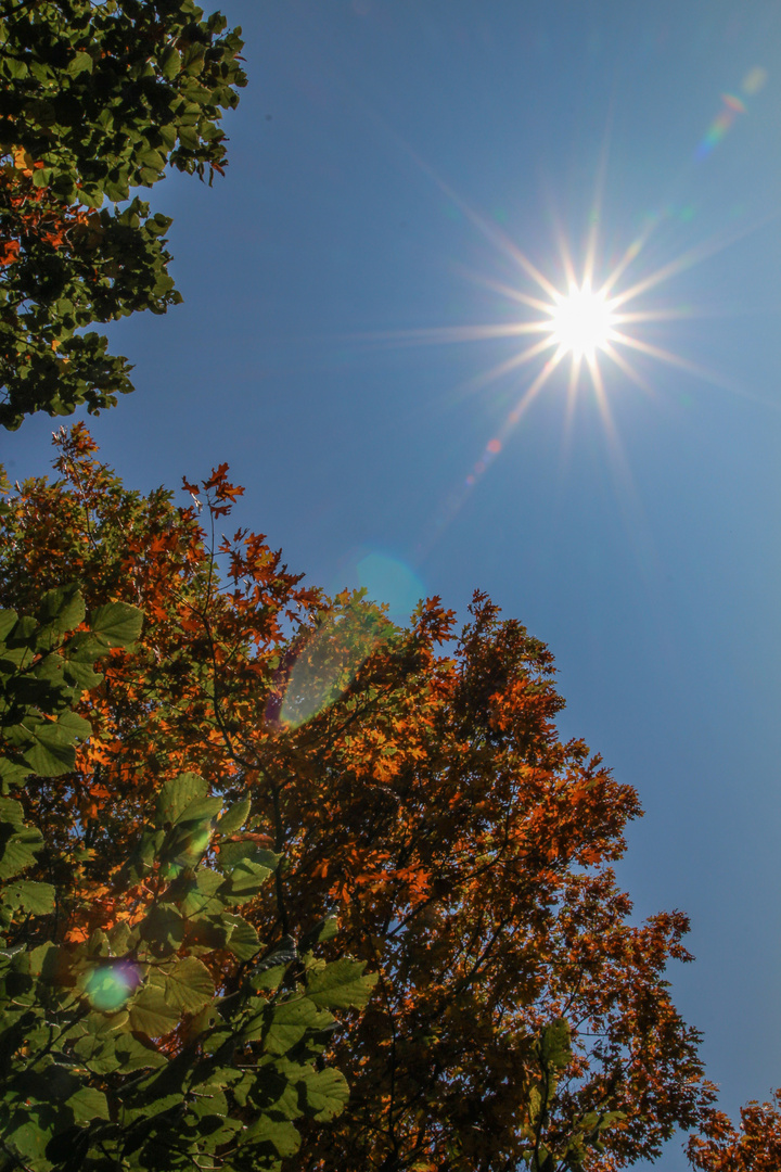 Goldener Herbst