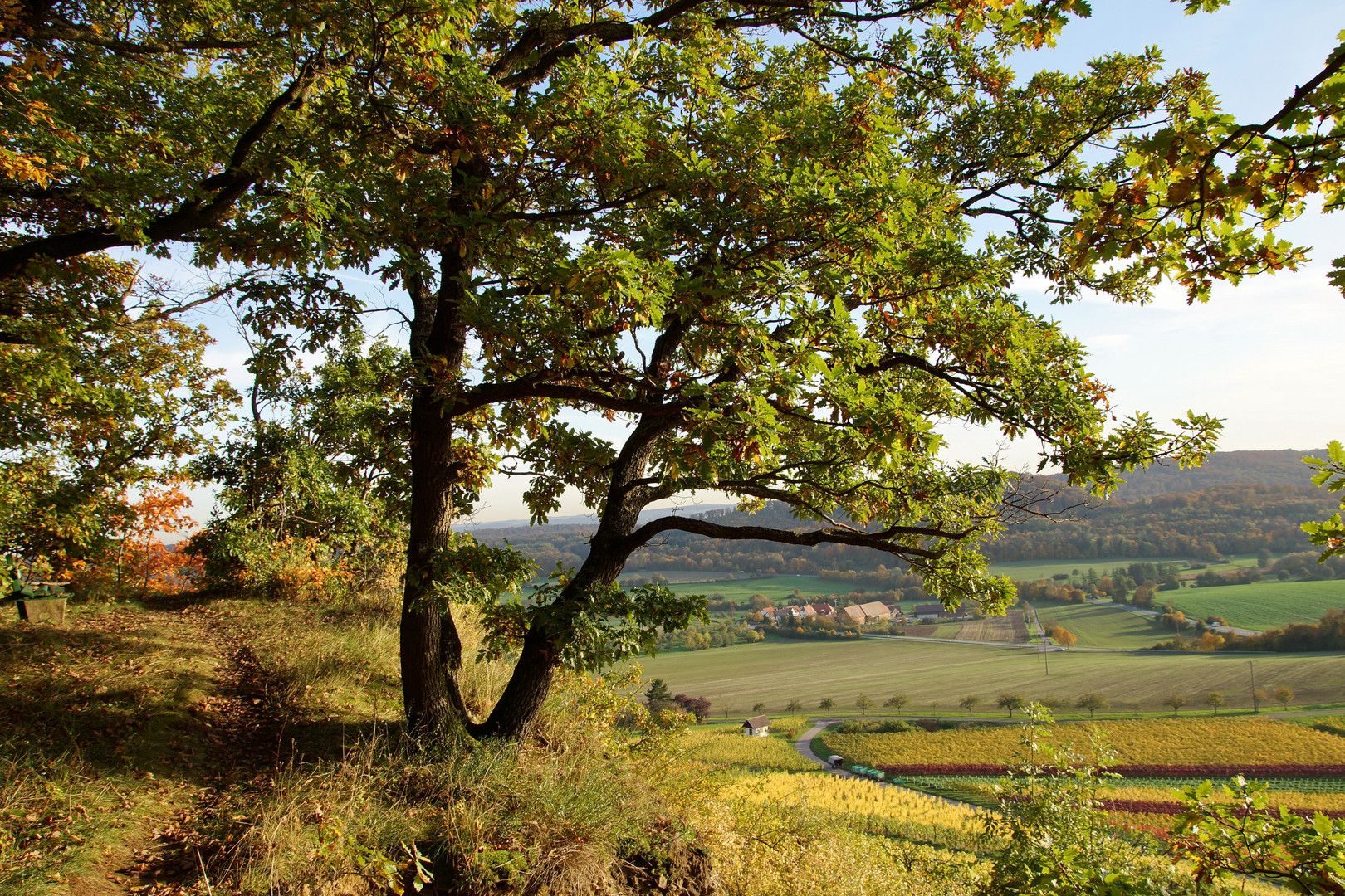 Goldener Herbst 7