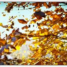 Goldener Herbst