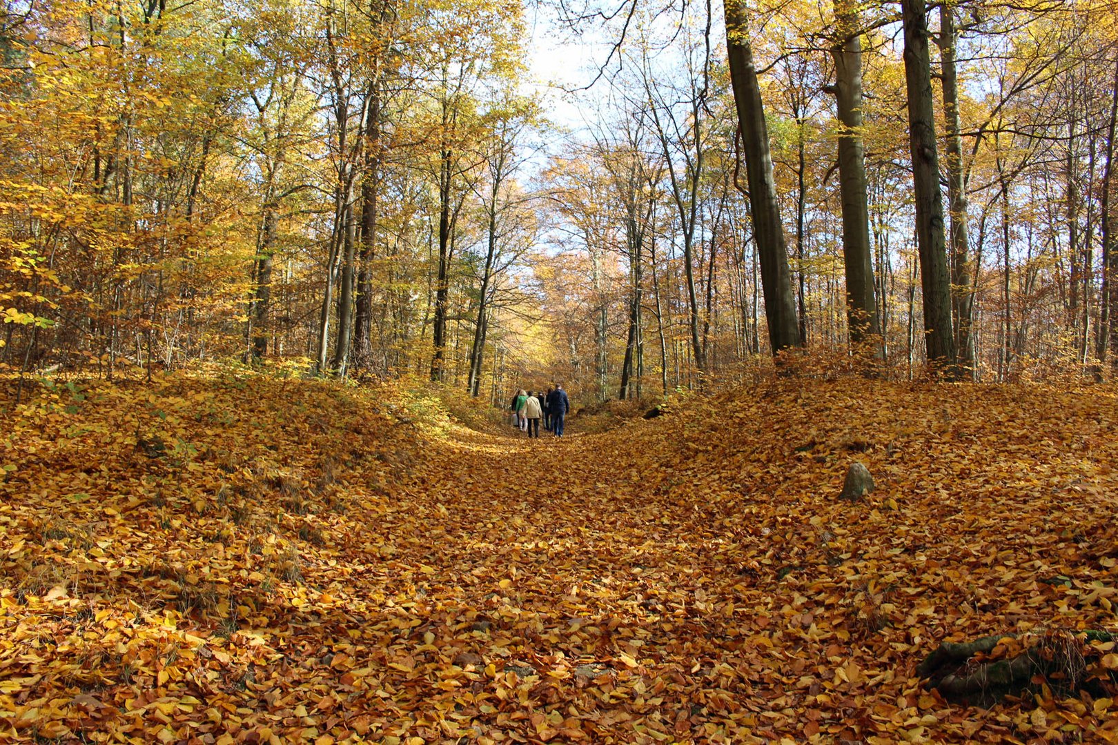 Goldener Herbst