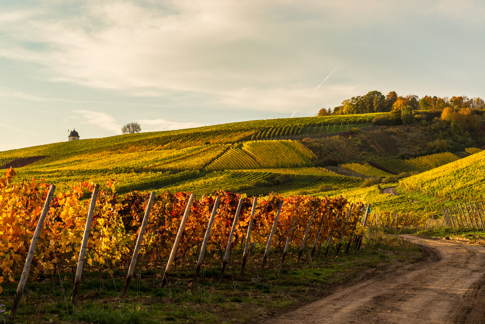 Goldener Herbst