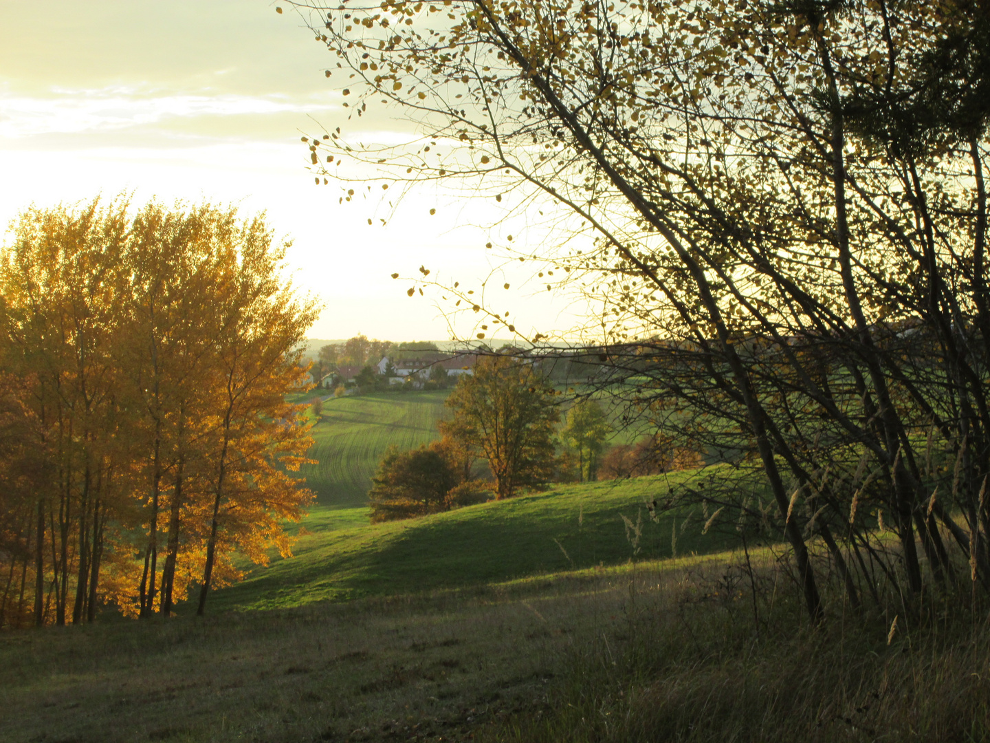 goldener Herbst