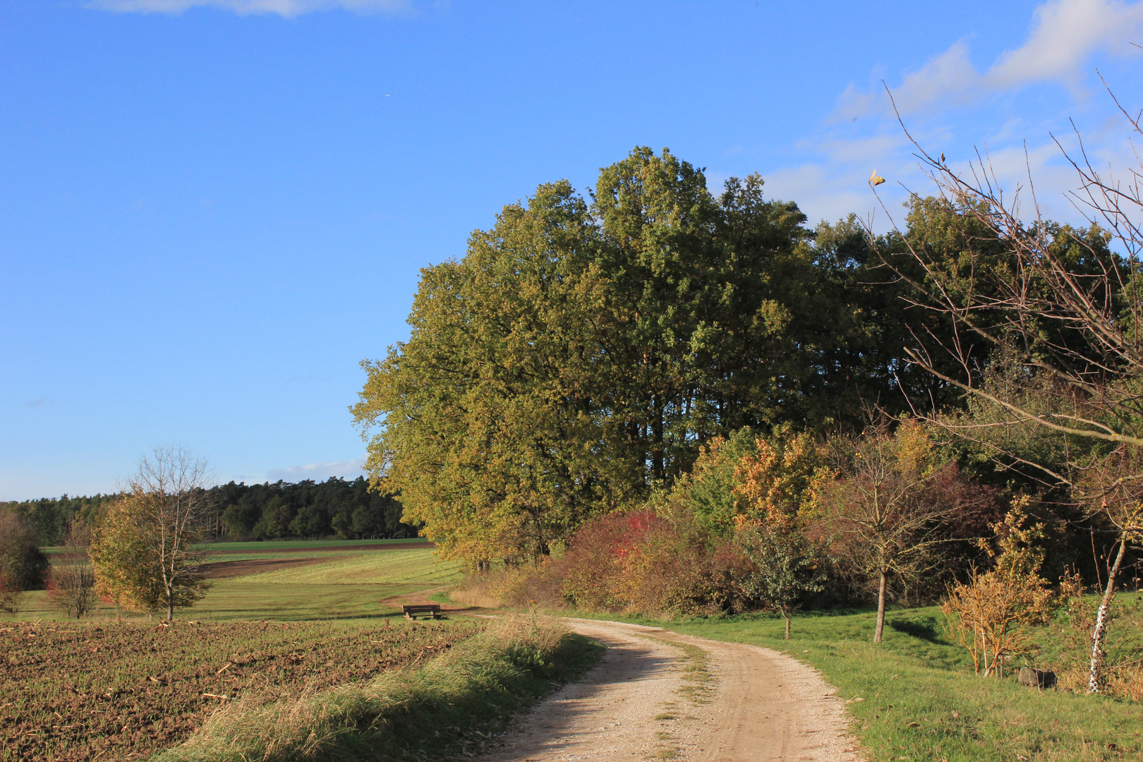 Goldener Herbst