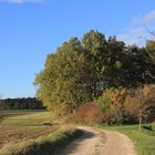 Goldener Herbst