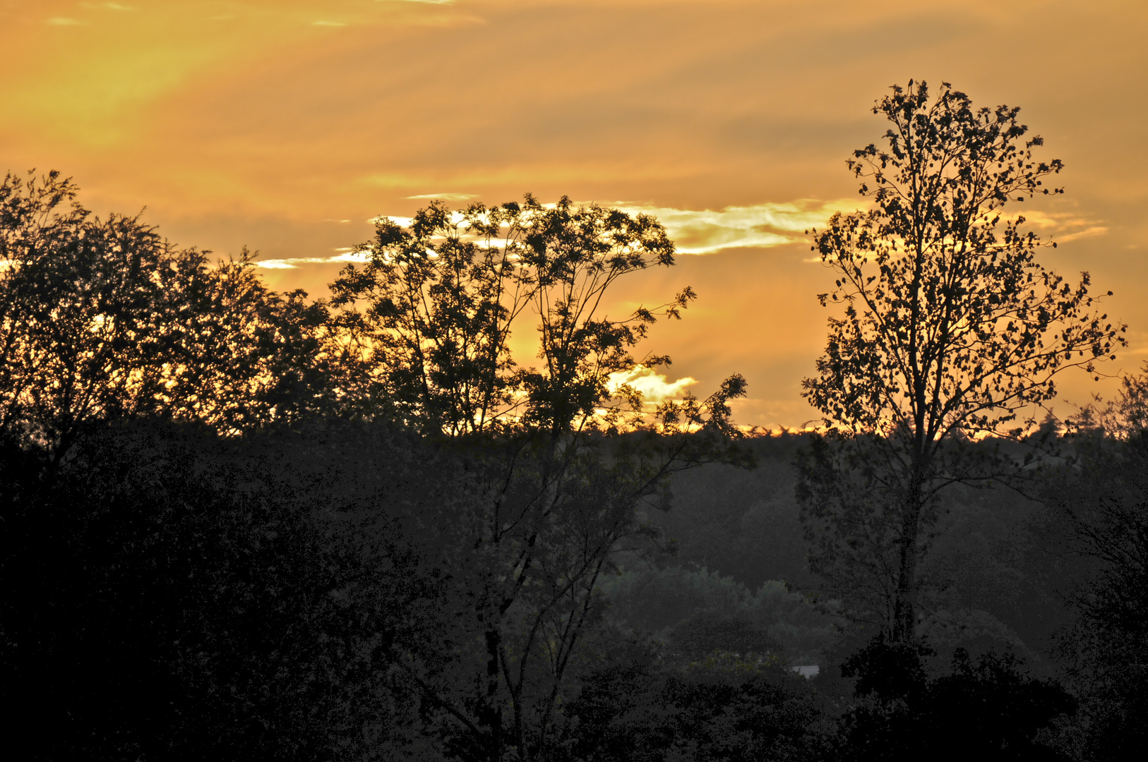 Goldener Herbst