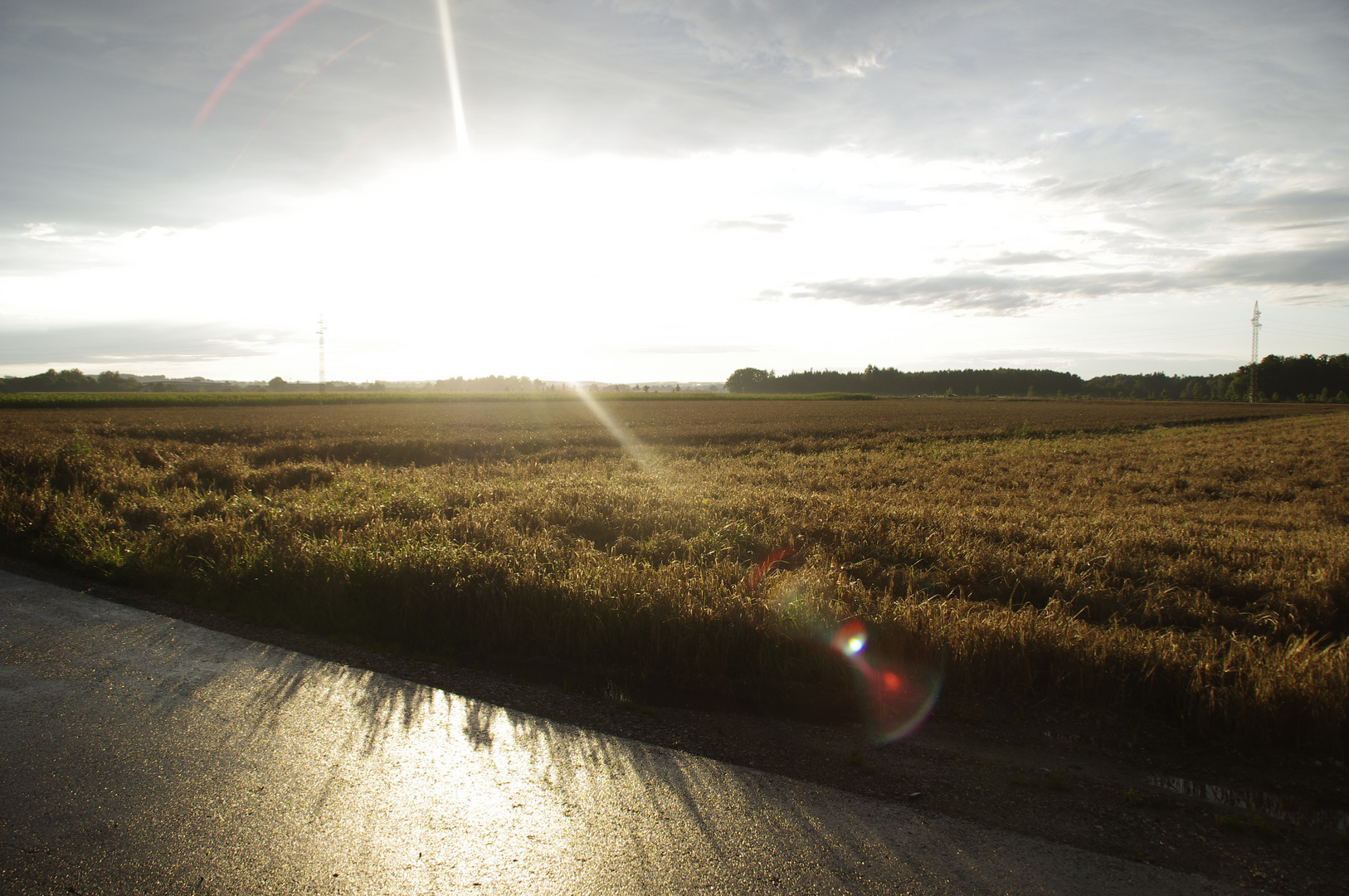 Goldener Herbst