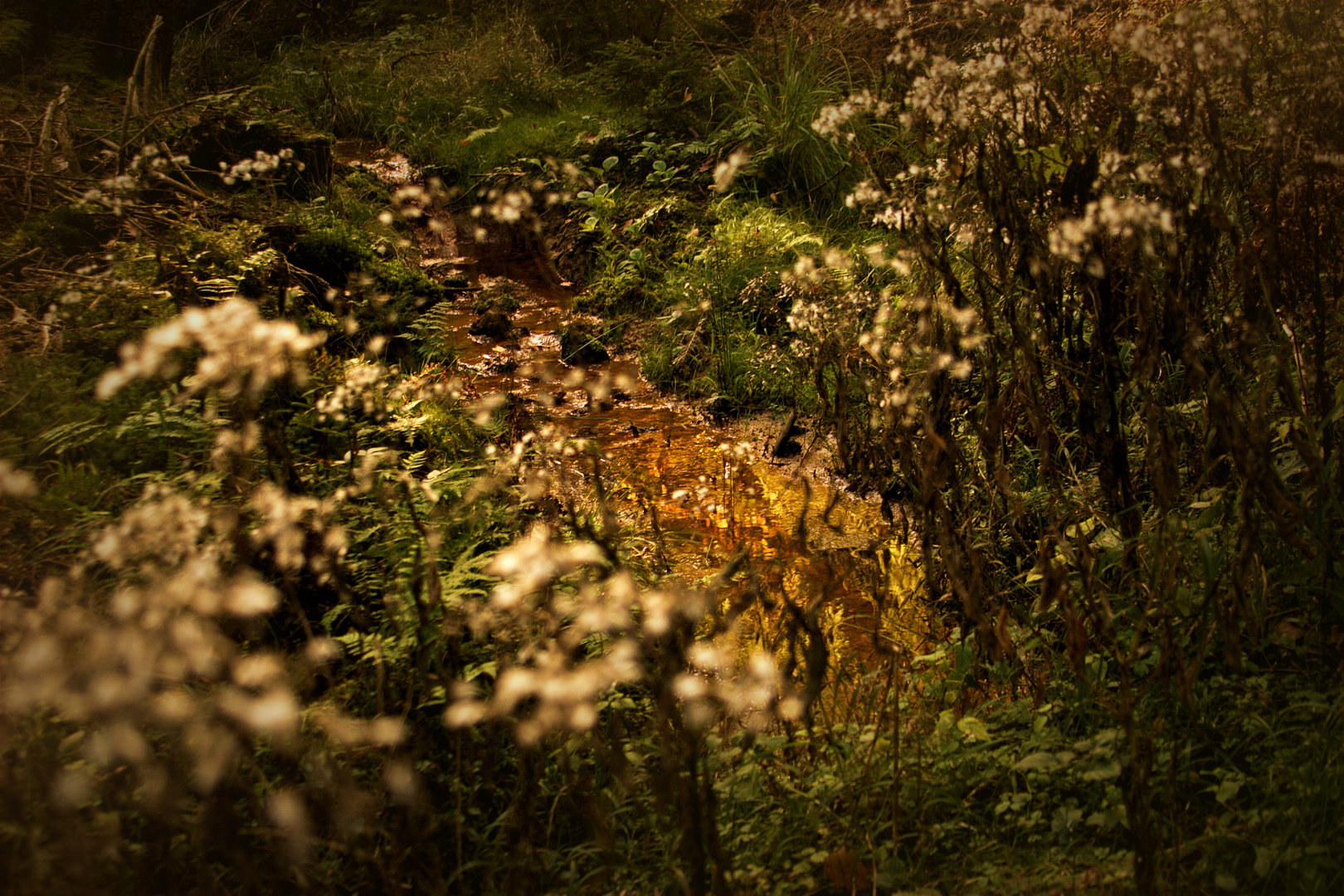 Goldener Herbst