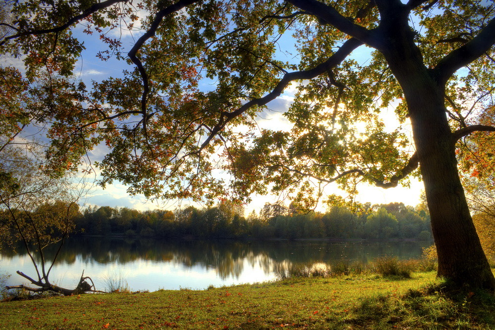 goldener Herbst...