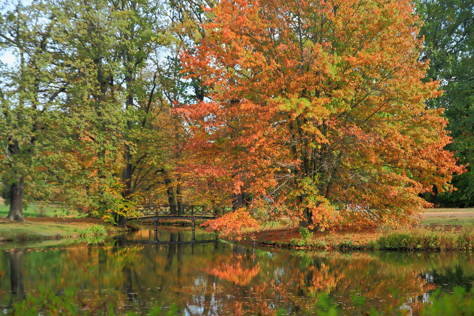 ....Goldener Herbst....