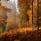 Goldener Herbst