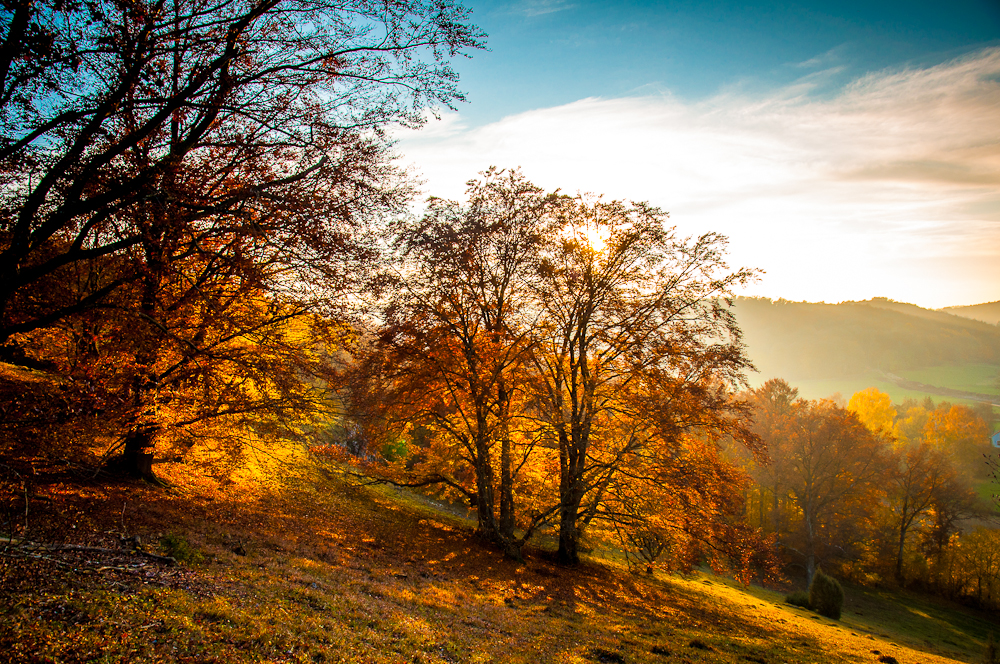 Goldener Herbst