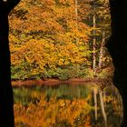 Goldener Herbst