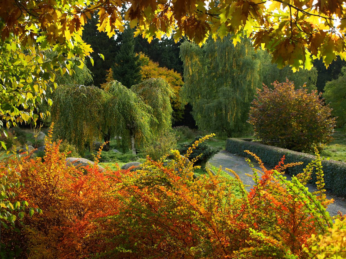 Goldener Herbst