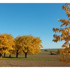 Goldener Herbst