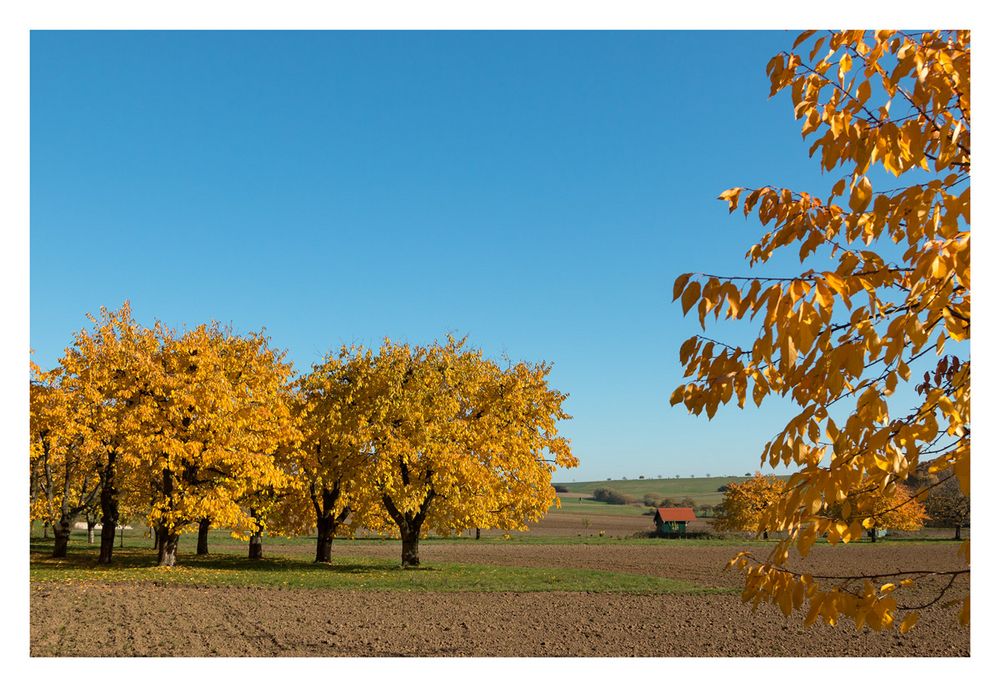 Goldener Herbst