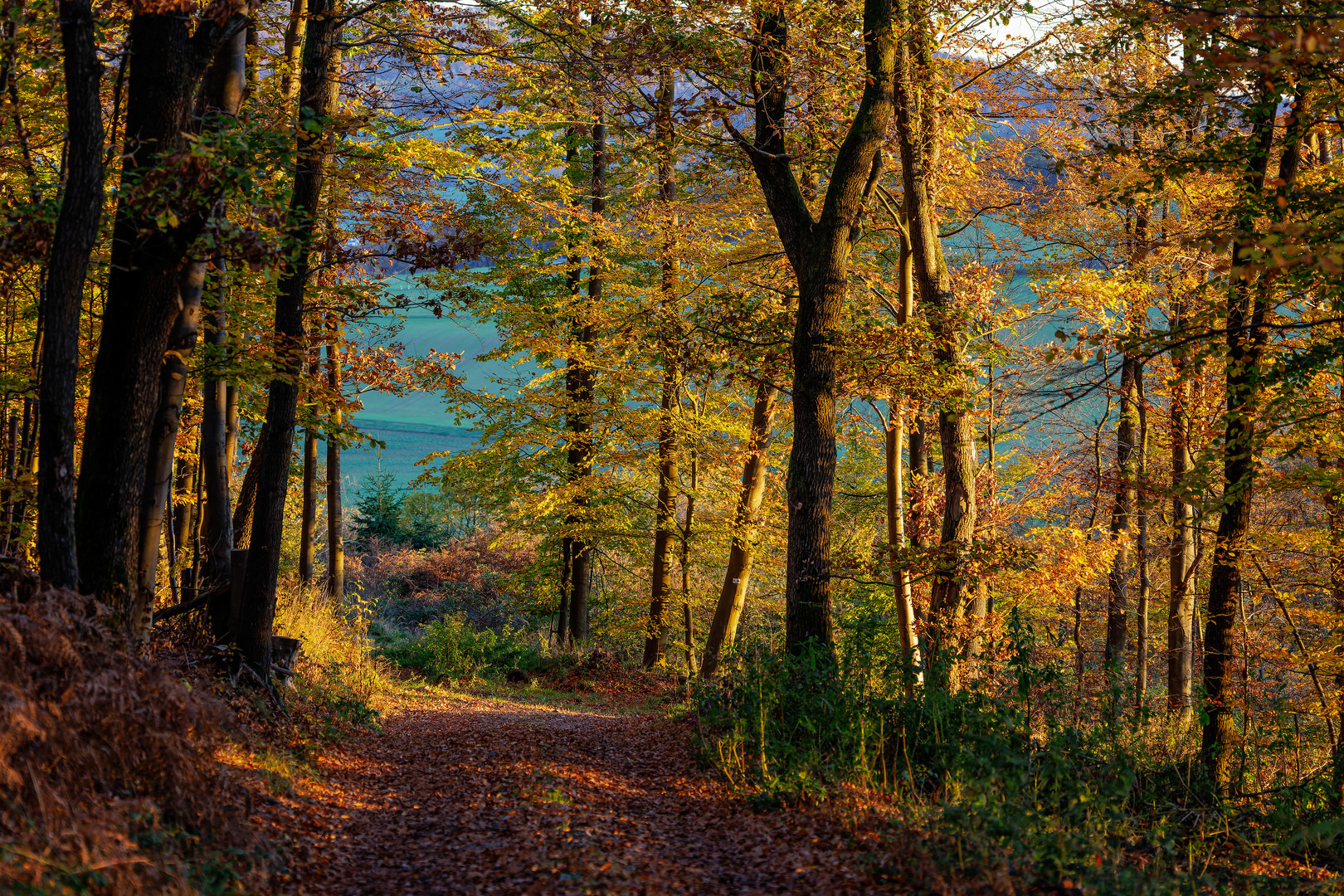 Goldener Herbst