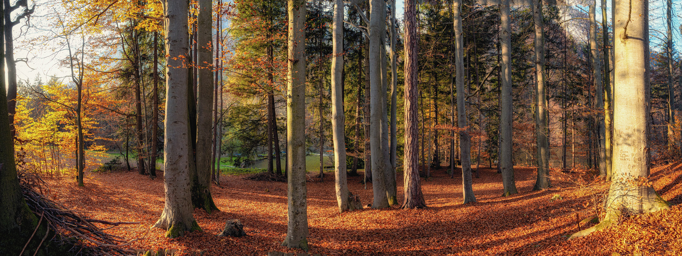 Goldener Herbst 