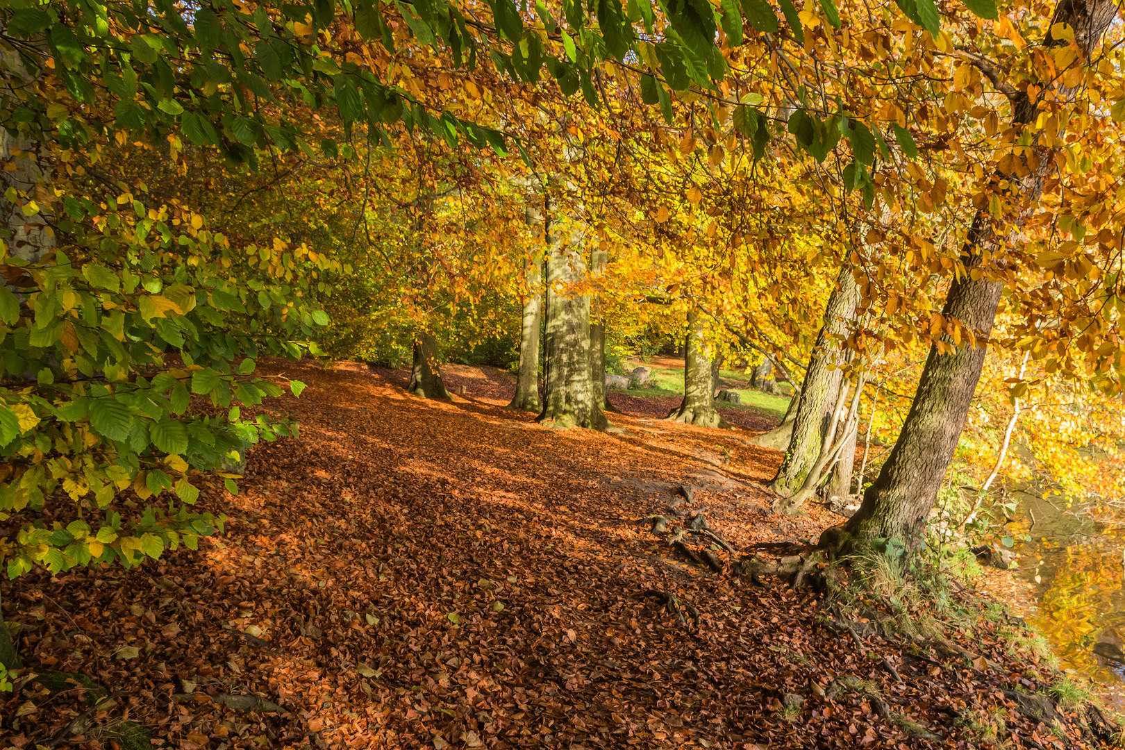 Goldener Herbst