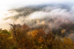 Goldener Herbst