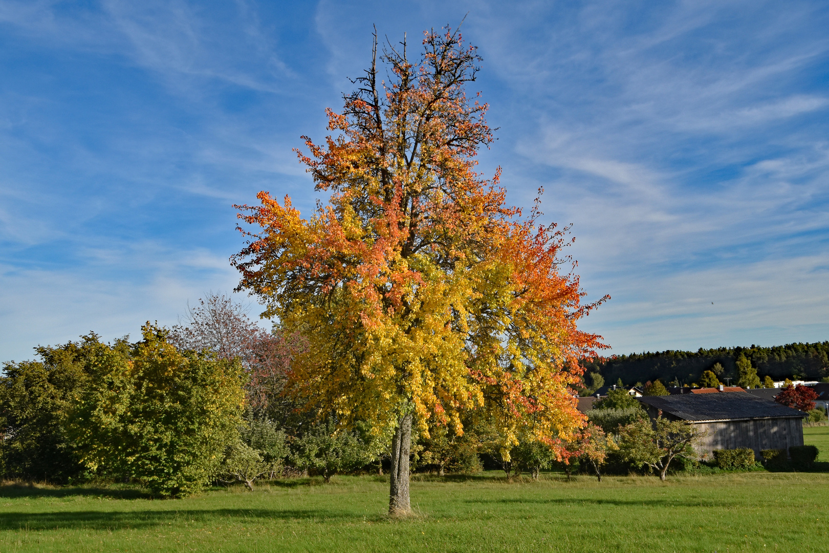 Goldener Herbst