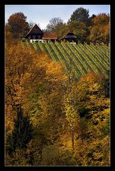 Goldener Herbst