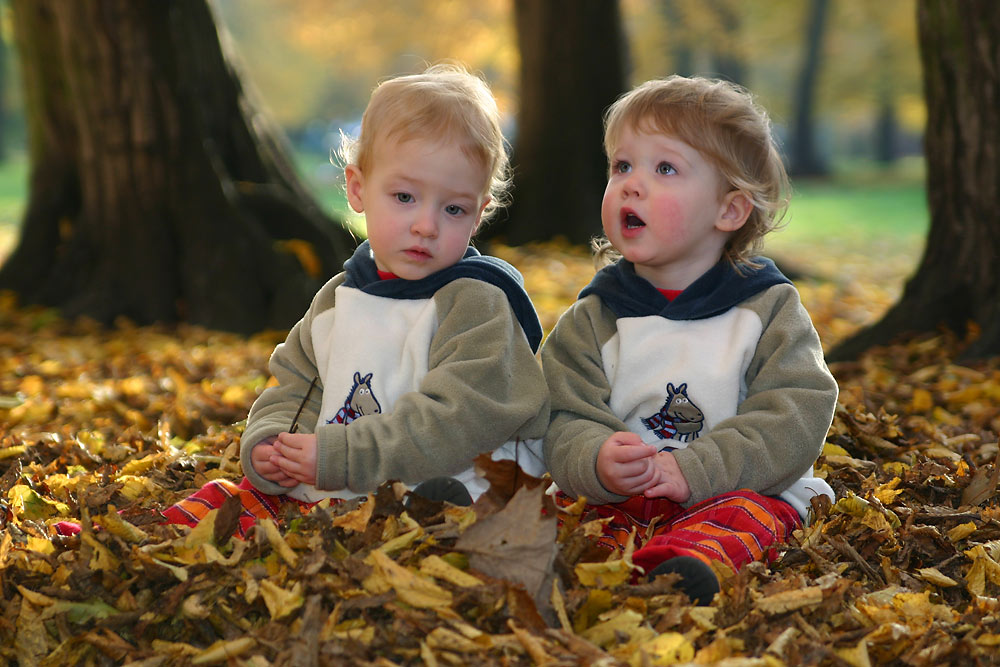 Goldener Herbst ...