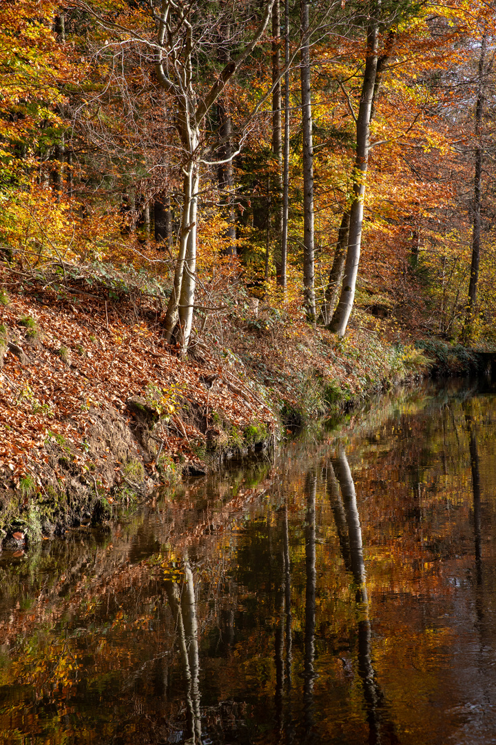 Goldener Herbst