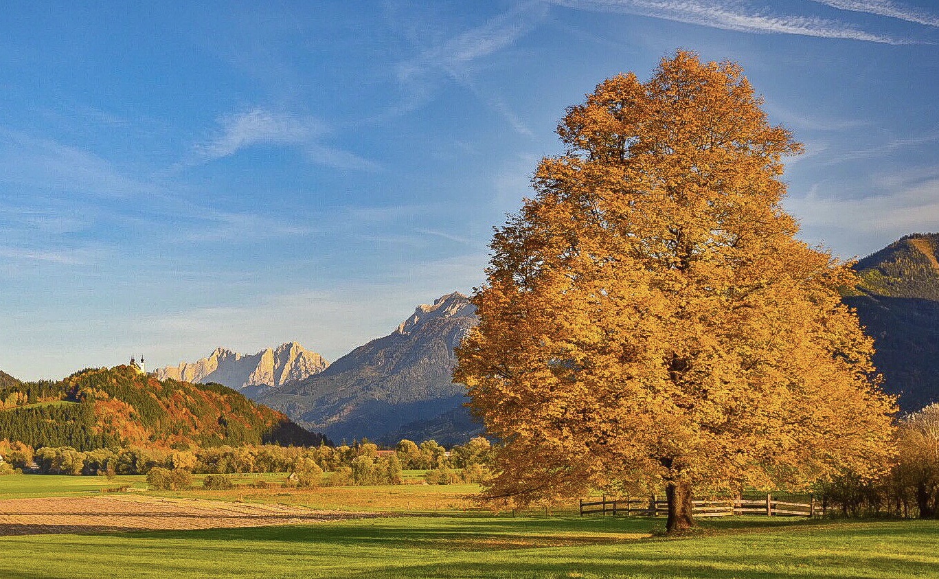 goldener Herbst 