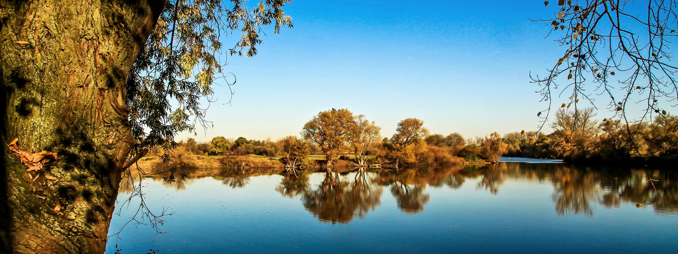 Goldener Herbst