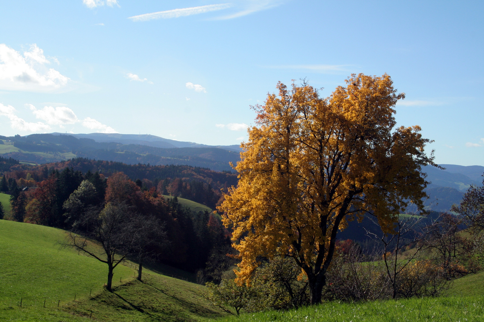 Goldener Herbst...