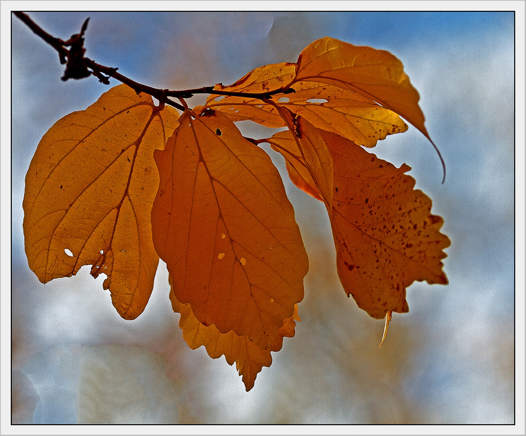 Goldener Herbst