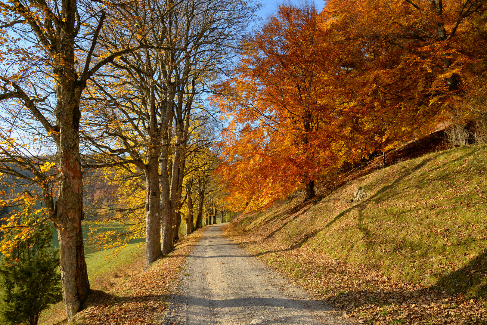 Goldener Herbst