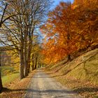 Goldener Herbst