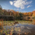 Goldener Herbst