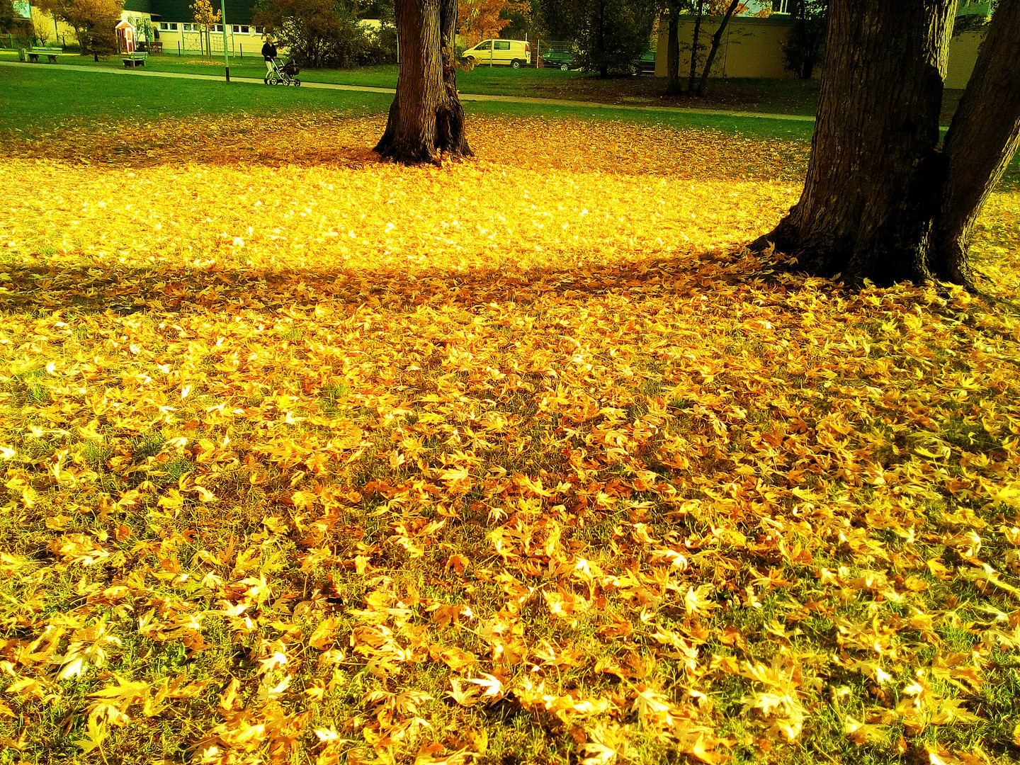 Goldener Herbst