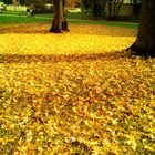 Goldener Herbst